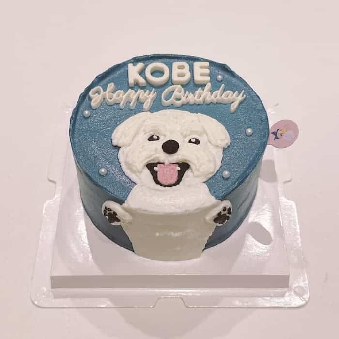 Trần Ngọc Huyền avatar